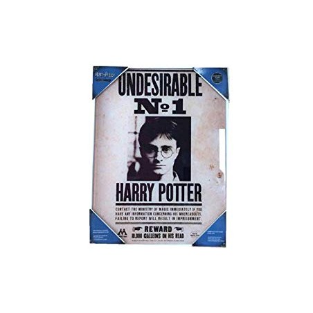 Cadre - Harry Potter - Avis de recherche