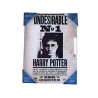 Cadre - Harry Potter - Avis de recherche