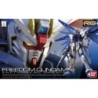 Maquette - Real Grade - Gundam - Freedom