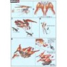 Maquette - High Grade - Gundam - Honoo