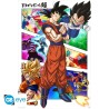 Poster - Rolled and shrink-wrapped - Dragon Ball - Panels