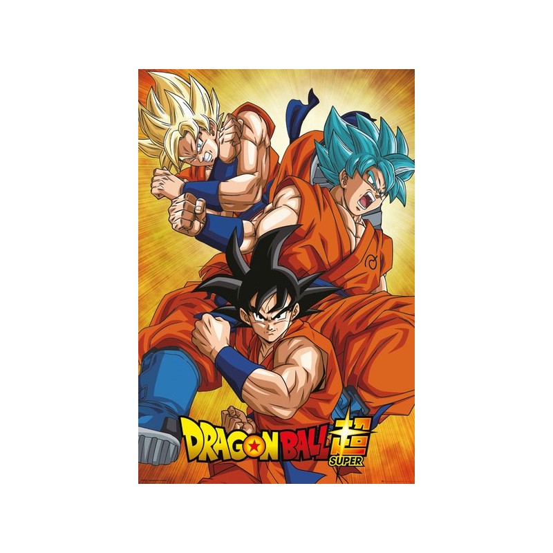 Poster - Roulé et filmé - Dragon Ball - Son Goku