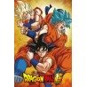 Poster - Roulé et filmé - Dragon Ball - Son Goku