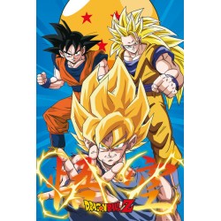 Poster - Roulé et filmé - Dragon Ball - Son Goku