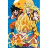 Poster - Roulé et filmé - Dragon Ball - Son Goku