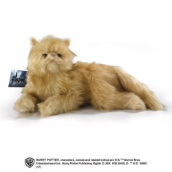 Plush - Harry Potter - Crookshanks