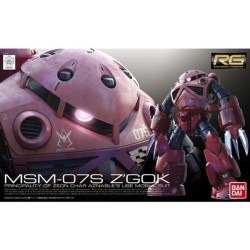 Maquette - Real Grade - Gundam - Z'Gok Char Custom