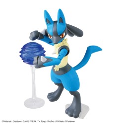 Model - Pokepla - Pokemon - Riolu & Lucario