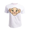 T-shirt - The Lion King - Nala