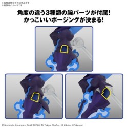 Maquette - Pokepla - Pokemon - Malvalame