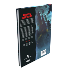 Livre - Jeu de rôle - Donjons et Dragons - Guide To Ravenloft