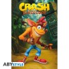 Poster - Roulé et filmé - Crash Brandicoot - Crash "Classique"