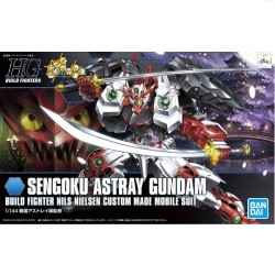Model - High Grade - Gundam - Astray