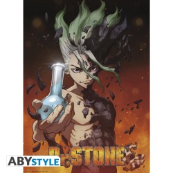 Poster - Set of 2 - Dr. Stone - Group & Artwork