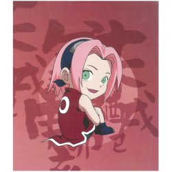Album photos - Naruto - SD Heroes - 02