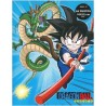Photo album - Dragon Ball - Goku & Shenron