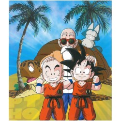 Photo album - Dragon Ball - Goku & Shenron