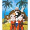 Photo album - Dragon Ball - Goku & Shenron