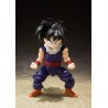 Action Figure - S.H.Figuart - Dragon Ball - Son Gohan