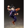 Action Figure - S.H.Figuart - Dragon Ball - Son Gohan
