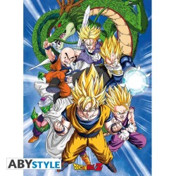 Poster - Set of 2 - Dragon Ball - Groups