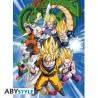 Poster - Set of 2 - Dragon Ball - Groups