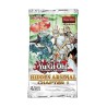 Trading Cards - Yu-Gi-Oh! - Box "Hidden Arsenal"