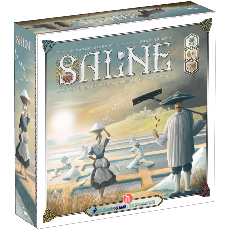 Board Game - Saline